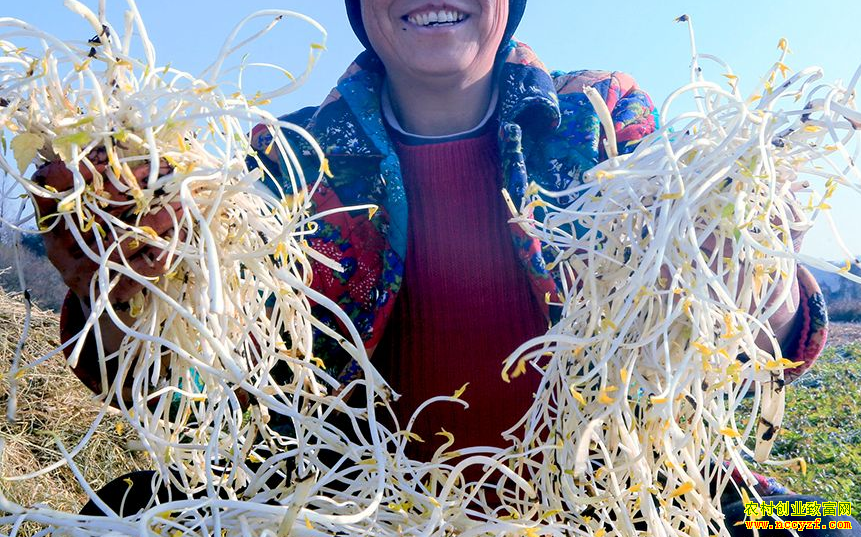 ÿ��10Ԫ����ѿ�����������ֲ�۲�ѿĶ����������ǰ������