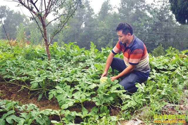 ��ľ���������� һ��ؽ��������ϡ�