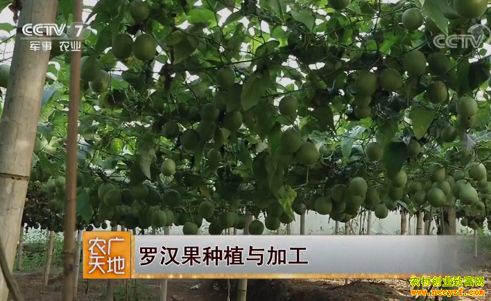 [ũ�����]�޺�����ֲ��ӹ� 20180810