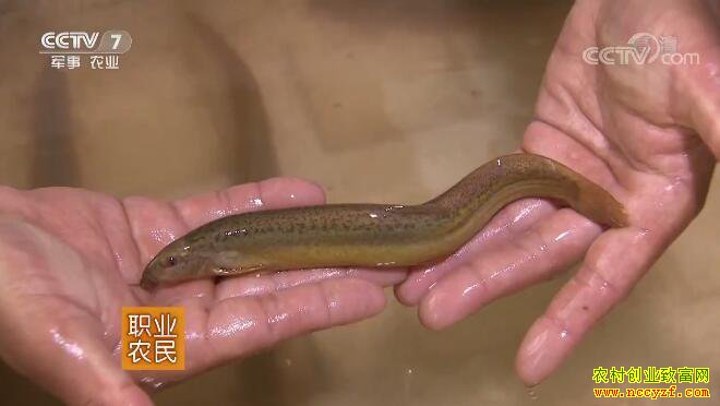 [ũ�����]���۸������˹���ֳ�����ɼ��� 20180815