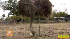 [ÿ��ũ��]����ּ���Ǯ׬