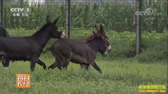 [ÿ��ũ��]��¿׬Ǯ��ʵ���� 20180807