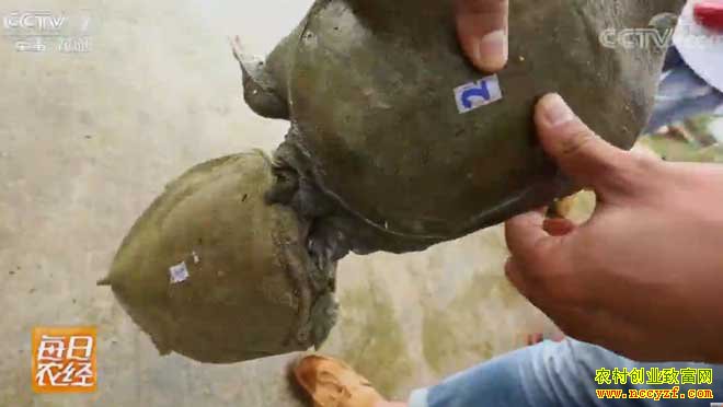 [ÿ��ũ��]ҧ�˵ļ��㾹Ȼ�ܶ�׬Ǯ 20180813