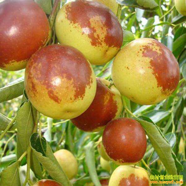 �ӱ����أ����������� �۸�һ��