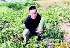 �����ɽ��ѧ����ش崴ҵ��ֲˮ������ÿ���ۼ�10Ԫ