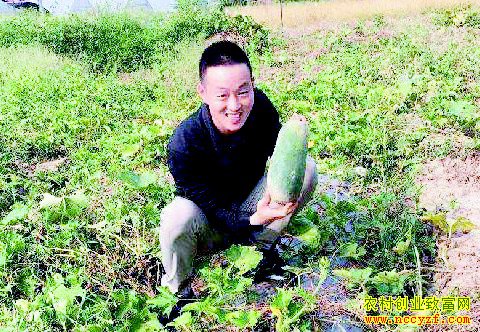 �����ɽ��ѧ����ش崴ҵ��ֲˮ������ÿ���ۼ�10Ԫ