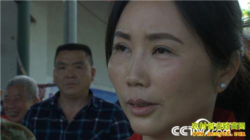 [�¸���]�����ٲ���ƽ��ֳ��è��ӭ��������׬Ǯ