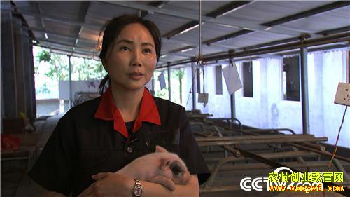 [�¸���]�����ٲ���ƽ��ֳ��è��ӭ��������׬Ǯ