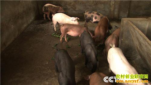 [�¸���]����7��� �����µ� ��ȴ׬��Ǯ 20180820 