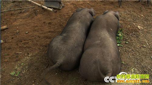 [�¸���]����7��� �����µ� ��ȴ׬��Ǯ 20180820 