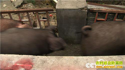 [�¸���]����7��� �����µ� ��ȴ׬��Ǯ 20180820 