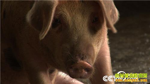 [�¸���]����7��� �����µ� ��ȴ׬��Ǯ 20180820 