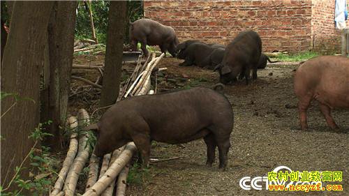 [�¸���]����7��� �����µ� ��ȴ׬��Ǯ 20180820 