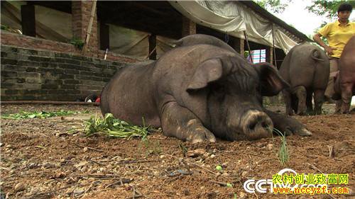 [�¸���]����7��� �����µ� ��ȴ׬��Ǯ 20180820 