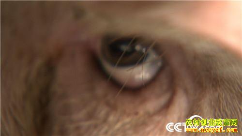 [�¸���]����7��� �����µ� ��ȴ׬��Ǯ 20180820 