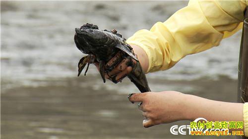 [�¸���]��ù��ǿ������ ���˰���׬��Ǯ 20180823 