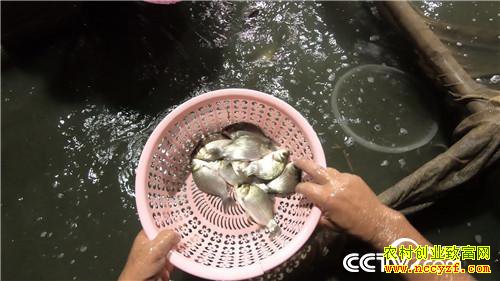 [�¸���]��ù��ǿ������ ���˰���׬��Ǯ 20180823 