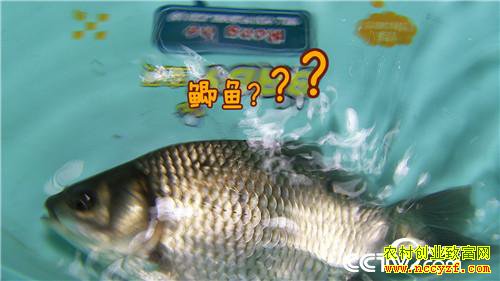 [�¸���]��ù��ǿ������ ���˰���׬��Ǯ 20180823 