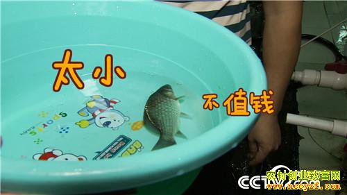 [�¸���]��ù��ǿ������ ���˰���׬��Ǯ 20180823 