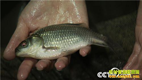 [�¸���]��ù��ǿ������ ���˰���׬��Ǯ 20180823 