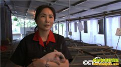 [�¸���]�����ٲ���ƽ��ֳ��è��ӭ��������׬Ǯ