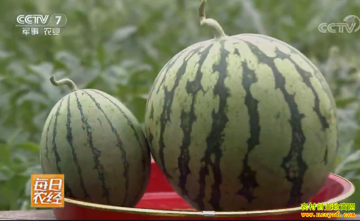 [ÿ��ũ��]��Ƥ�Ե�С�������˰� 20180727