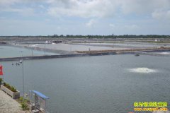 �㽭������Ϻũ���Ʊ�Ķ�Ϻ��ֳ�¸���