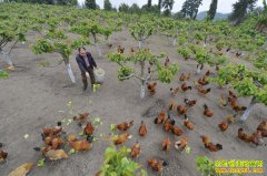 ������ˮ����Զ�ӣ�ɽ�������� ���ġ����¸�·