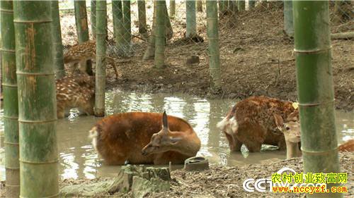 [�¸���]����Ů����ɽ��¹ һ������5000�� 20180828 