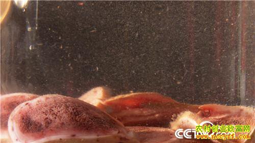 [�¸���]����Ů����ɽ��¹ һ������5000�� 20180828 