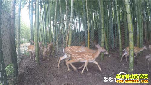 [�¸���]����Ů����ɽ��¹ һ������5000�� 20180828 