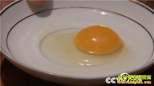 [�¸���]Ů��������ɽ ����׬��Ұ�Ƹ� 20180829 