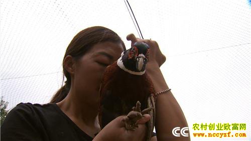 [�¸���]Ů��������ɽ ����׬��Ұ�Ƹ� 20180829 