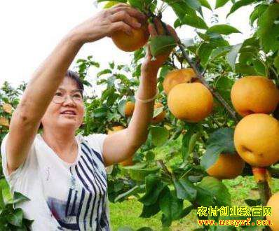 �㶫���ݸ�¶����ֲЧ��� һ�����ؽ�3��������в�����