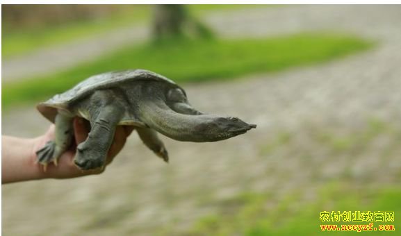 2018�����г������ �����쳤�쳤���������������40��