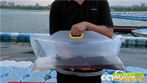 [�¸���]����1000Ԫ������ һ�仰��������ǧ�� 20180904 