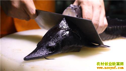 [�¸���]����1000Ԫ������ һ�仰��������ǧ�� 20180904 