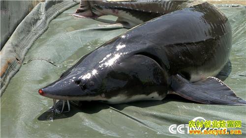 [�¸���]��������������������ҵ������ һ�仰��������ǧ��