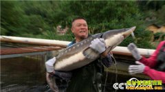 [�¸���]��������������������ҵ������ һ�仰��������ǧ��