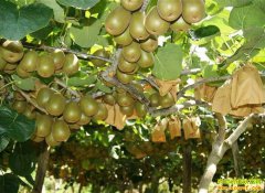 ⨺����������� ����⨺��Ҽ۸�������Σ�