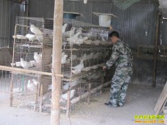 ɽ����ƽ���ڸ�����͵�������������Ч���