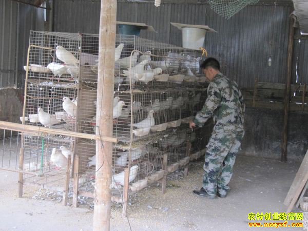 ɽ����ƽ���ڸ�����͵�������������Ч���