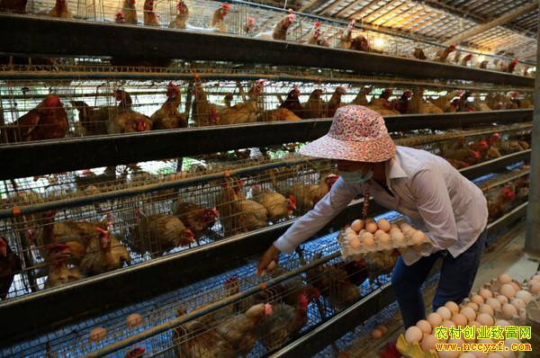 ɽ���������ź�����ɫ��ֳ ��������������