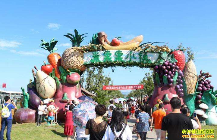 ��ũҵ�óԺÿ��ֺ��桪�㽭�׹���С������׵Ĵ�ҵ����