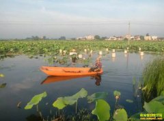 һĶ��׬��Ķ��Ǯ����˹�����źϺ����������Ч���