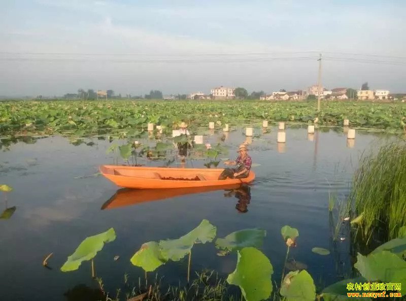 һĶ��׬��Ķ��Ǯ����˹�����źϺ����������Ч���