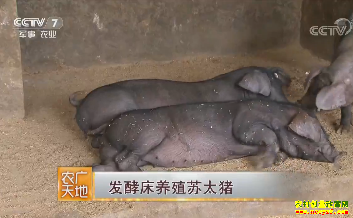 [ũ�����]���ʹ���ֳ��̫������ 20180831