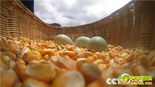 [�¸���]�������������̵� ��������1000�� 20180906 