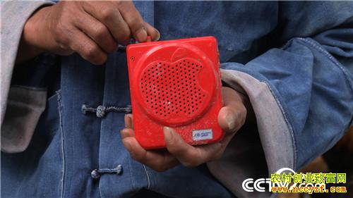 [�¸���]���ݳ�˳�ء������硱�������������̿ǵ�����ǧ��Ԫ