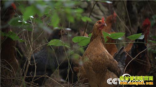 [�¸���]�������������̵� ��������1000�� 20180906 